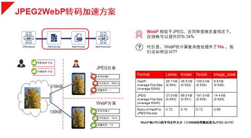 FPGA與CPU協(xié)同推動數(shù)據(jù)中心圖像處理應(yīng)用 優(yōu)化服務(wù)體驗與成本平衡